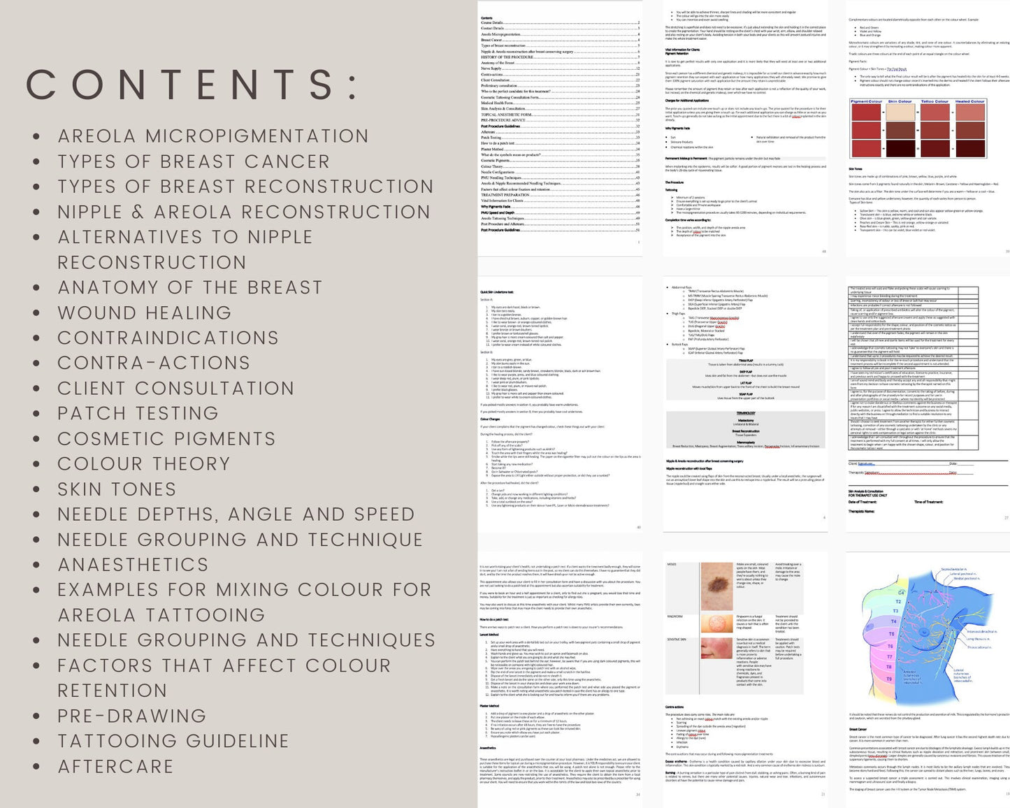 Areola Micropigmentation Editable Training Manual