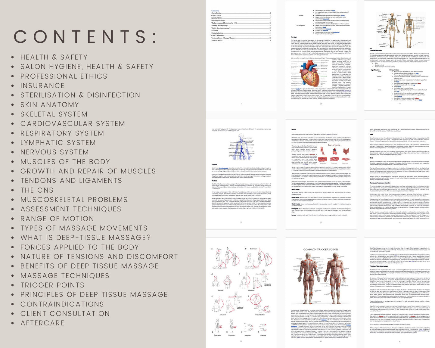 Deep Tissue Massage Editable Training Manual