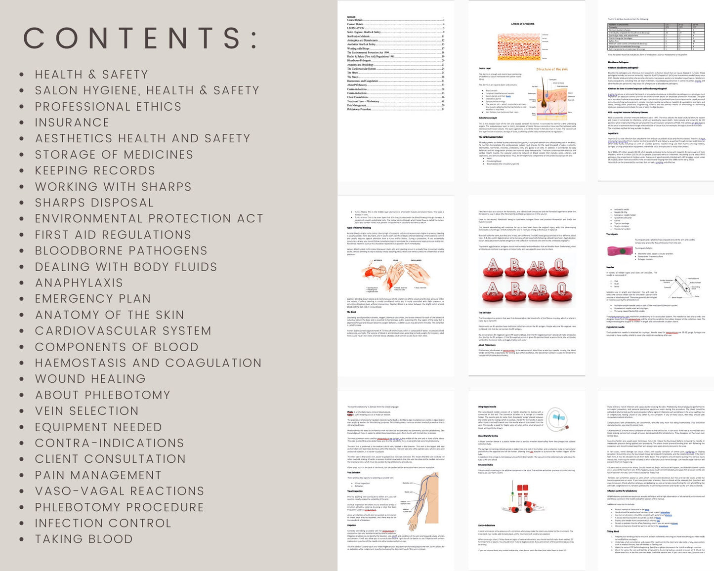 Phlebotomy Editable Training Manual