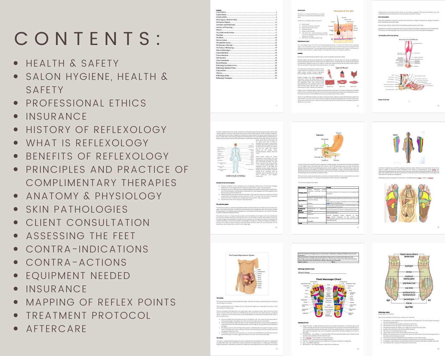 Reflexology Editable Training Manual